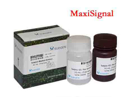 SuperBright MaxiSignal ECL化學發光底物試劑盒SUDGEN