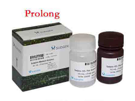 SuperBright Prolong ECL 化學發光底物試劑盒SUDGEN